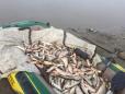 Politistii din cinci judete la pescuit braconieri in Botosani