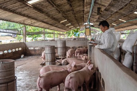 Satul unde mirosurile puternice si problemele de sanatate sunt provocate de o ferma de porci