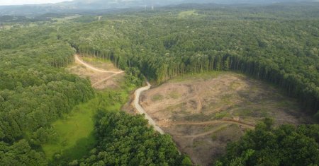 Romania ar putea avea o noua autostrada: Este cea mai importanta investitie..