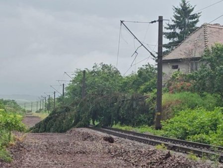 Efectele furtunii. Doi copaci au cazut peste linia de cale ferata si o alee pietonala din Mures