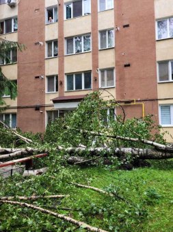 Furtuna la <span style='background:#EDF514'>ODORHEIU SECUIESC</span>. Un panou publicitar a cazut peste un om, 12 copaci s-au rupt