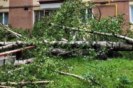 Bilantul furtunii din Harghita: Mii de oameni din zeci de localitati au ramas fara curent electric. Panou publicitar, cazut peste un barbat