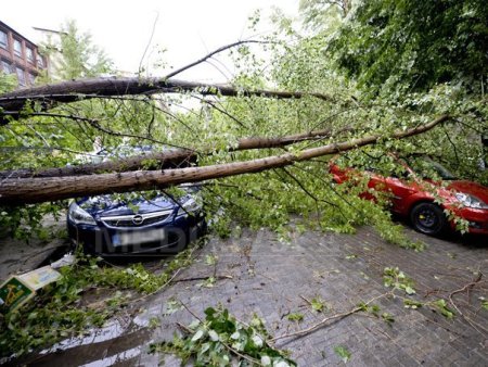 Furtunile au facut ravagii in tara: 47 de localitati au ramas, luni, fara energie electrica