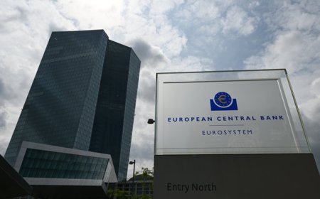 Asteptarile economistilor privitoare la reducerea dobanzii in zona euro incep sa se destrame