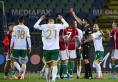 Irlanda interupe seria de 14 meciuri fara infrangere a Ungariei