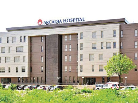 Grupul <span style='background:#EDF514'>ARCADIA</span> spitale si centre medicale din Iasi a ajuns la aproape 40 mil. euro pe piata serviciilor medicale. Reteaua <span style='background:#EDF514'>ARCADIA</span> cuprinde mai multe entitati si este cel mai mare operator medical privat din zona Moldovei. Businessul este controlat de familia Fiterman