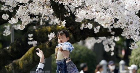 Primaria din Tokyo va lansa o aplicatie de intalniri online pentru a contracara scaderea natalitatii. Chiar trebuie sa faca asta Guvernul cu impozitele noastre?