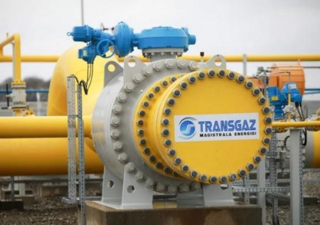 Transgaz va plati dividende statului de peste 38 de milioane de lei. Cat vor primi actionarii