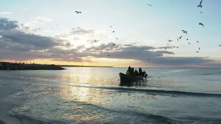 Culesul de scoici si rapane din Marea Neagra a fost suspendat temporar. Toate au fost retrase de pe piata