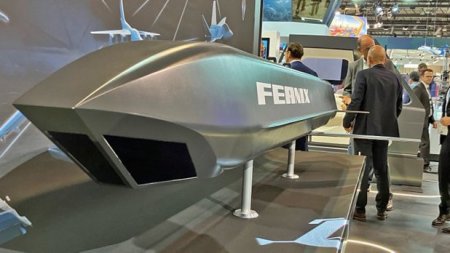 Nemtii au prezentat racheta viitorului, FEANIX