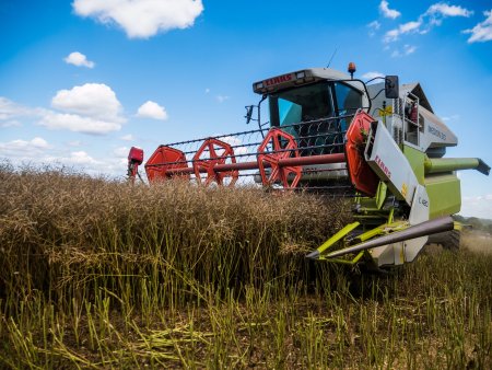 Circa 2,3 miliarde euro absorbite din fonduri europene de la inceputul anului pentru agricultura si dezvoltare rurala