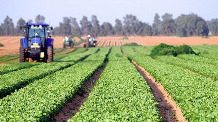 Fermierii mai pot depune cereri de plata pana pe 12 iunie