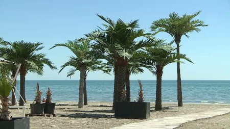 Constanta ii asteapta pe turisti cu apa buna de imbaiat, discounturi si palmieri de plastic. Sa bem, o viata avem!