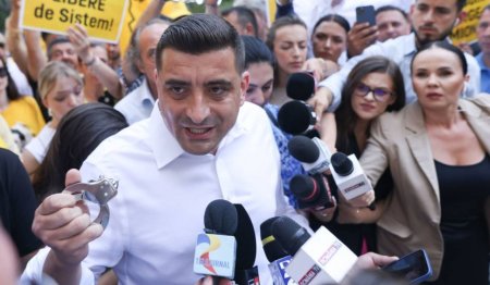 Greva foamei de voturi: Georgica va flamanzi degeaba