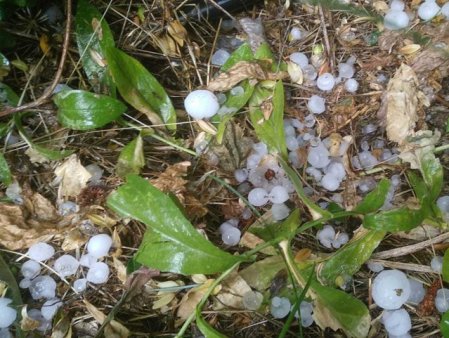 Capitala si localitati din Giurgiu si Ilfov, din nou sub avertizari Cod portocaliu de averse, grindina si vant