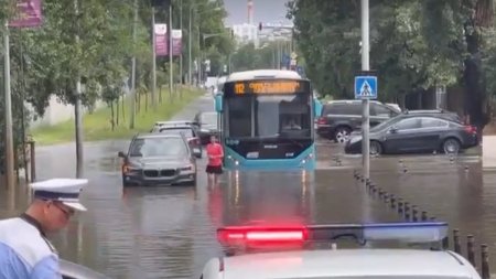 Furtuna a facut dezastru in Bucuresti. A plouat intr-o ora cat in doua saptamani: case si strazi inundate, copaci cazuti peste masini