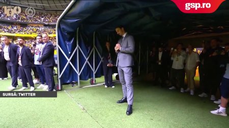 Zlatan Ibrahimovic, omagiat de un stadion intreg dupa Suedia - Serbia