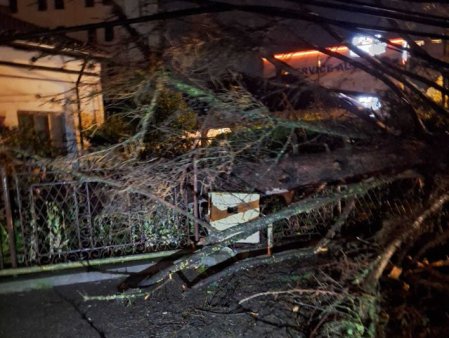 Pitesti: Copaci cazuti pe masini, un brad a avariat o conducta de gaze