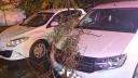 Rupere de nori la Pitesti: Copaci cazuti pe masini si avarii la o conducta de gaze