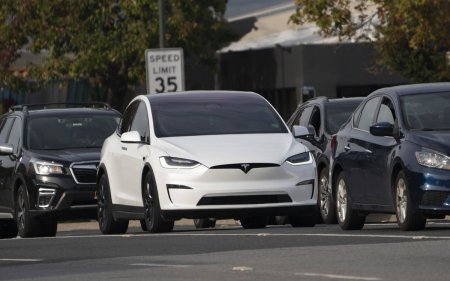 Elon Musk confirma, Tesla Model Y nu primeste un facelift anul acesta