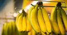 Gigantul bananier Chiquita, responsabil pentru finantarea unui grup terorist: 