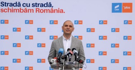 Radu Mihaiu, despre solicitarea de renumarare a voturilor la sectia 352: S-a luat decizia