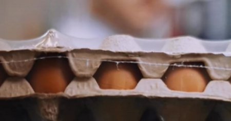 Cate zile raman proaspete ouale daca stau la frigider. Amanuntul care face diferenta