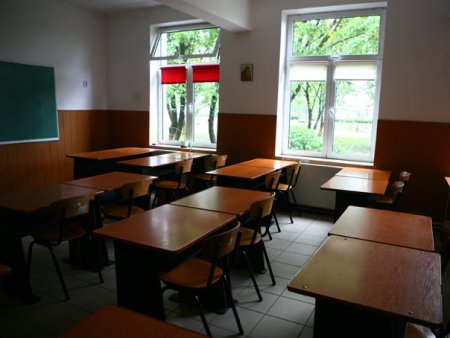 Dezvoltarea retelei de scoli verzi din Romania, pe ordinea de zi a Executivului