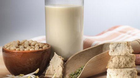 Laptele vegetal ideal pentru <span style='background:#EDF514'>ALUATURI</span> si blaturi