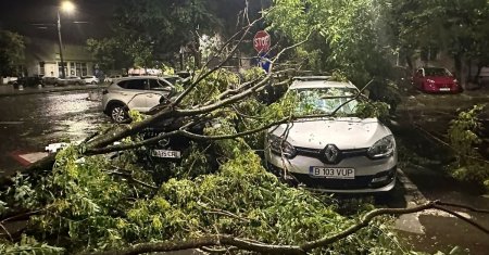 Furtuna puternica de aseara a facut prapad in Capitala: acoperisuri smulse, copaci doborati, sute de strazi si case inundate