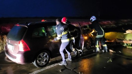 O masina a intrat intr-un copac cazut pe sosea din cauza furtunii, in Giurgiu