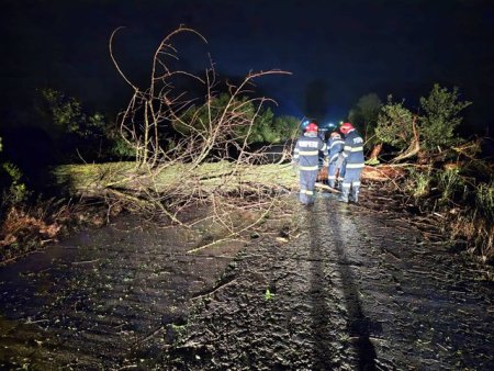 Giurgiu. O masina a intrat intr-un copac cazut pe sosea din cauza furtunii