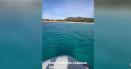 Tupeu de <span style='background:#EDF514'>DUBA</span>i. O influencerita din Emirate, amendata cu 1.800 de euro pentru ca a intrat pe o plaja roz din Sardinia VIDEO