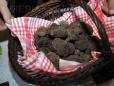 8 kilograme de trufe negre, culese ilegal, confiscate in Bacau