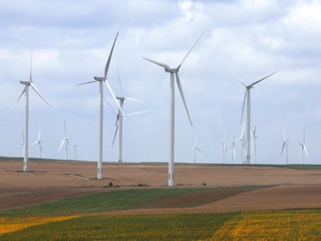 Familia Becali vaneaza vantul din Dobrogea. Proiecte eoliene mamut apar in toata tara. Ramane de vazut cate dintre aceste proiecte vor deveni realitate si cate vor umple 