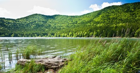 Lacul cu cea mai pura apa din tara noastra. Traditia spune ca daca te speli cu ea pe maini, vei fi protejat tot anul