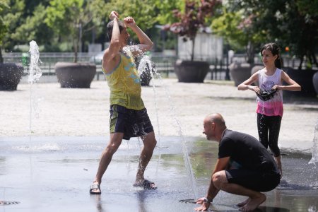 Stresul termic , un ucigas tacut