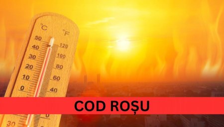 Cod rosu de canicula in acest weekend! Temperaturile vor atinge valori record pe 22 si 23 iunie 2024. Ce judete sunt vizate