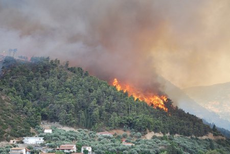 Un foc de artificii a declansat un incendiu de padure in Grecia