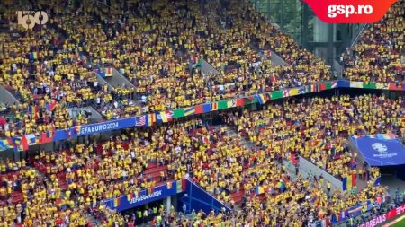 Belgia - Romania. Explozie de bucurie in tribune in momentul in care au iesit tricolorii