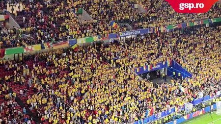 Belgia - Romania 2-0. Fanii tricolorilor au aplaudat jucatorii la finalul meciului de la Koln