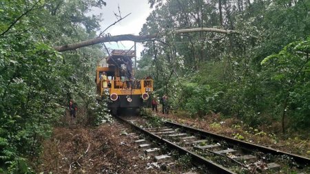 Tren oprit de copacii rupti in timpul vijeliei intre Toplita si Lunca Bradului