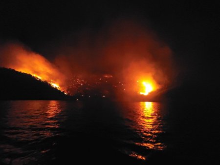 13 persoane au fost arestate in Grecia dupa incendiul de padure declansat de un foc de artificii