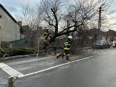 Probleme dupa vijeliile din tara: copaci cazuti, case inundate si localitati fara curent. Au fost emise mesaje Ro Alert