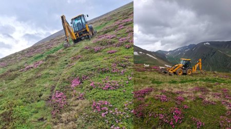 Vegetatie distrusa in Muntii Fagaras: Un cioban a sapat ilegal un drum catre stana