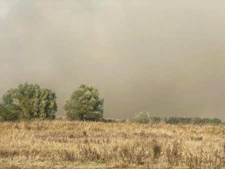 ISU Teleorman a intervenit duminica la 15 incendii de vegetatie uscata. Apelul pompierilor