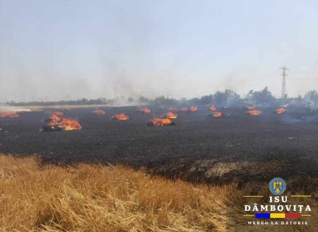 Incendiu puternic in Dambovita. Zeci de hectare de grau au fost cuprinse de flacari