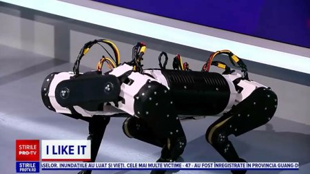 Un elev din Cluj a creat un caine-robot care seama cu celebrul Spot, de la Boston Dynamics