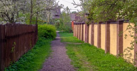 Ce nu vor mai avea voie sa faca romanii care stau la curte. Interdictia se aplica in curand