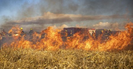 Un incediu de vegetatie a oprit circulatia pe Autostrada Soarelui. Traficul a fost deviat prin Fundulea si Branesti